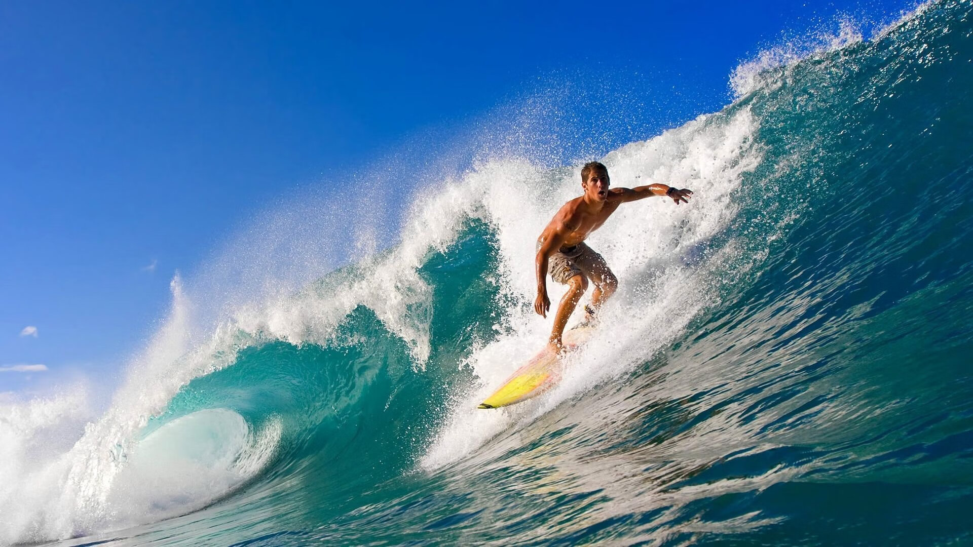 特雷杨:老鹰需要改变,我渴望胜利,老鹰当家球星特雷杨